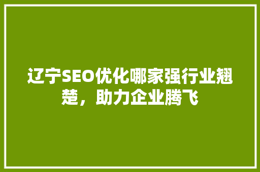 辽宁SEO优化哪家强行业翘楚，助力企业腾飞