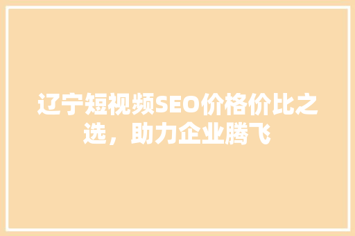 辽宁短视频SEO价格价比之选，助力企业腾飞