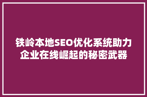 铁岭本地SEO优化系统助力企业在线崛起的秘密武器