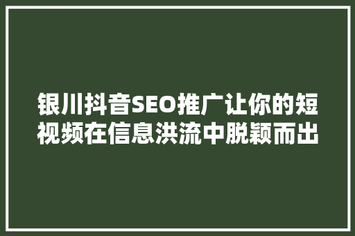 银川抖音SEO推广让你的短视频在信息洪流中脱颖而出