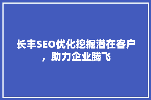 长丰SEO优化挖掘潜在客户，助力企业腾飞 网站开发