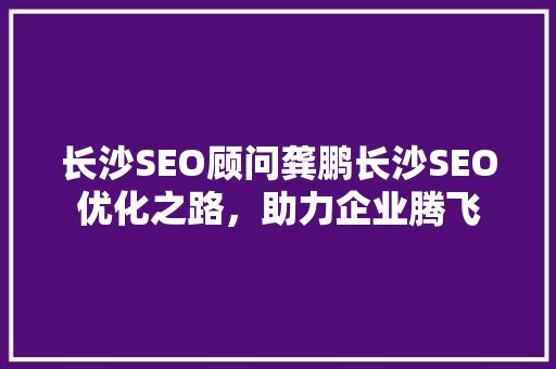 长沙SEO顾问龚鹏长沙SEO优化之路，助力企业腾飞