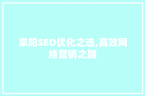 阜阳SEO优化之选,高效网络营销之路