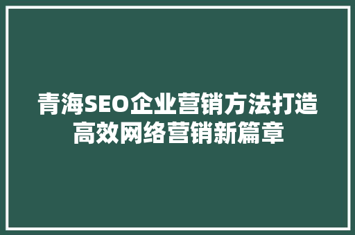 青海SEO企业营销方法打造高效网络营销新篇章