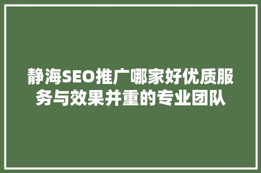 静海SEO推广哪家好优质服务与效果并重的专业团队