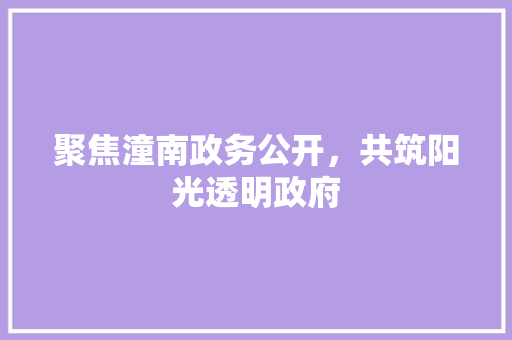 聚焦潼南政务公开，共筑阳光透明政府