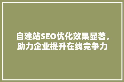 自建站SEO优化效果显著，助力企业提升在线竞争力