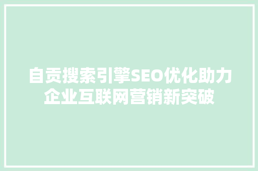 自贡搜索引擎SEO优化助力企业互联网营销新突破