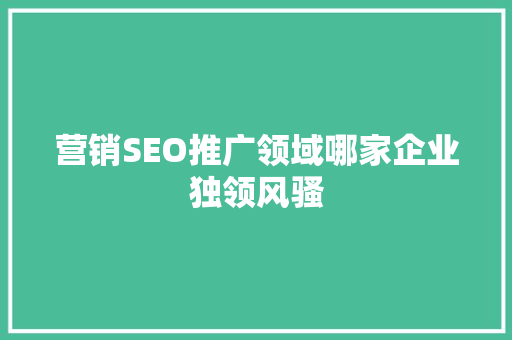 营销SEO推广领域哪家企业独领风骚