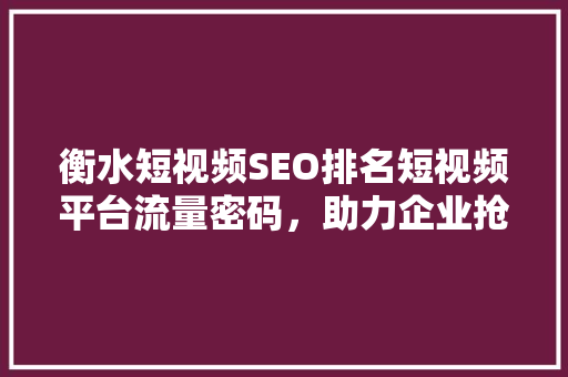 衡水短视频SEO排名短视频平台流量密码，助力企业抢占先机