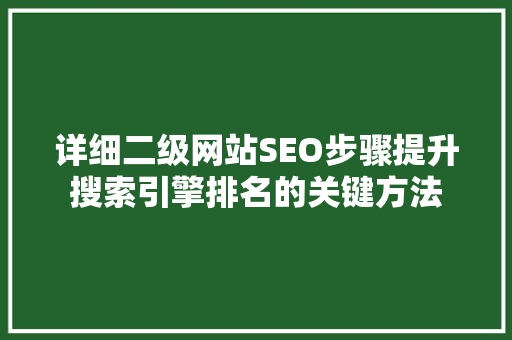 详细二级网站SEO步骤提升搜索引擎排名的关键方法