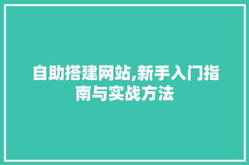 自助搭建网站,新手入门指南与实战方法 自助搭建网站,新手入门指南与实战方法 百度算法