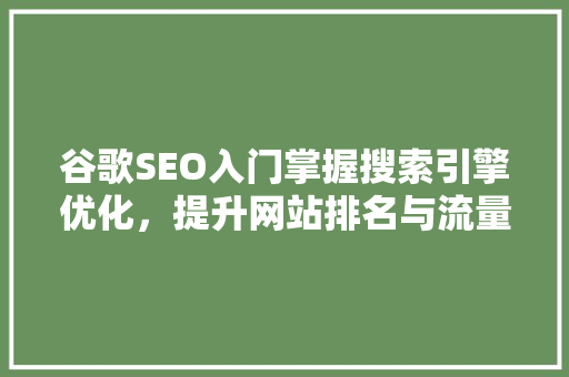 谷歌SEO入门掌握搜索引擎优化，提升网站排名与流量 搜狗优化