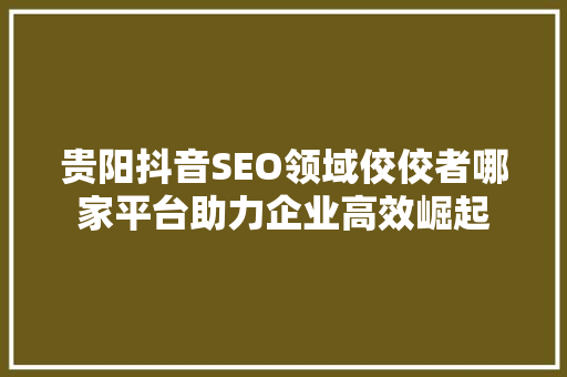 贵阳抖音SEO领域佼佼者哪家平台助力企业高效崛起 百度算法