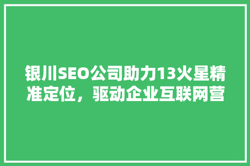 银川SEO公司助力13火星精准定位，驱动企业互联网营销新格局 头条优化
