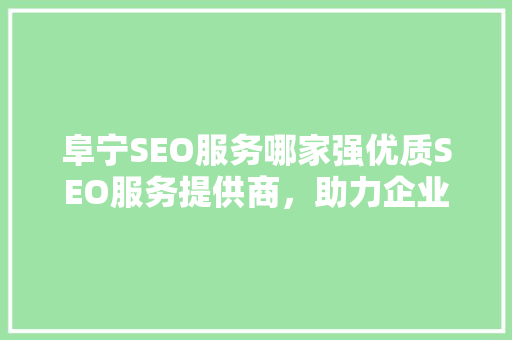 阜宁SEO服务哪家强优质SEO服务提供商，助力企业腾飞