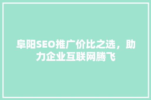 阜阳SEO推广价比之选，助力企业互联网腾飞