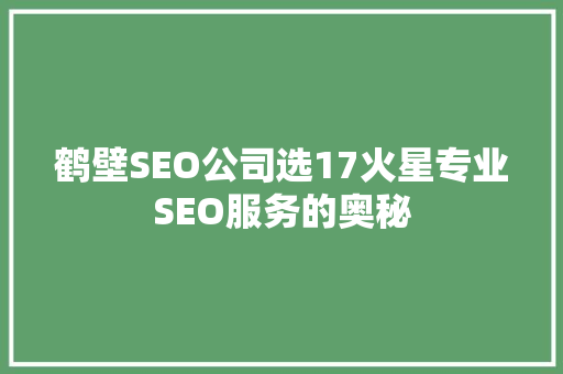 鹤壁SEO公司选17火星专业SEO服务的奥秘