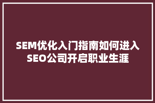 SEM优化入门指南如何进入SEO公司开启职业生涯