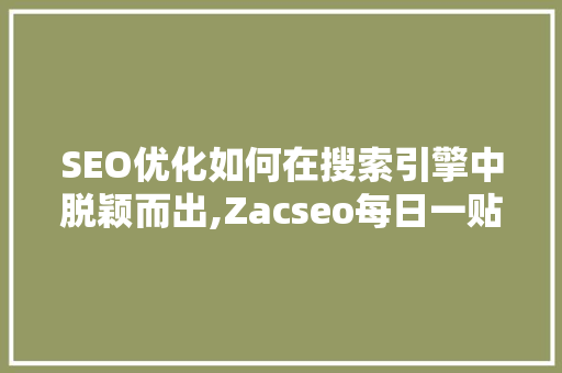 SEO优化如何在搜索引擎中脱颖而出,Zacseo每日一贴详细 网站开发