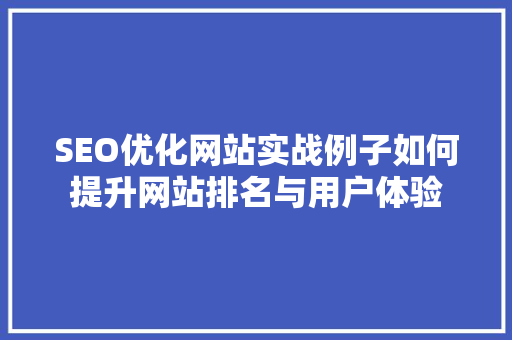SEO优化网站实战例子如何提升网站排名与用户体验