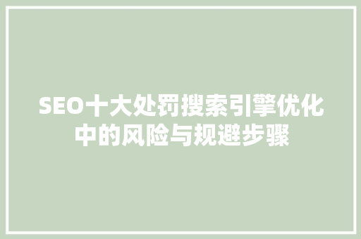 SEO十大处罚搜索引擎优化中的风险与规避步骤 网站优化