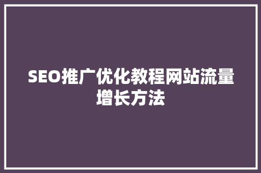 SEO推广优化教程网站流量增长方法
