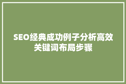SEO经典成功例子分析高效关键词布局步骤
