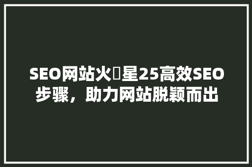 SEO网站火乛星25高效SEO步骤，助力网站脱颖而出