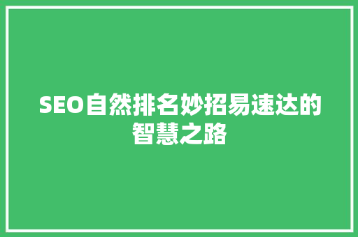 SEO自然排名妙招易速达的智慧之路