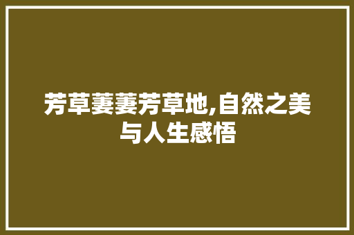 芳草萋萋芳草地,自然之美与人生感悟 芳草萋萋芳草地,自然之美与人生感悟 AI技术学习