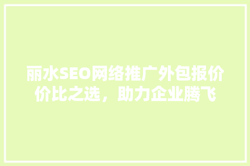 丽水SEO网络推广外包报价价比之选，助力企业腾飞