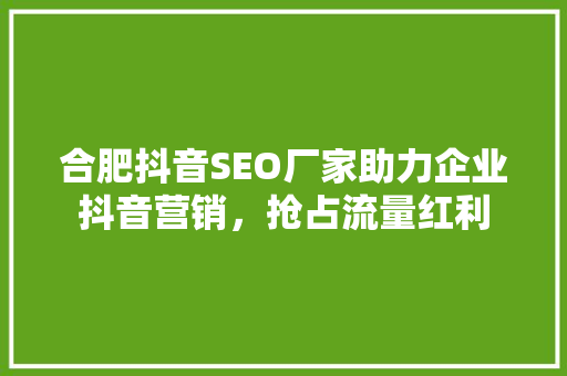 合肥抖音SEO厂家助力企业抖音营销，抢占流量红利