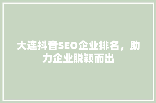 大连抖音SEO企业排名，助力企业脱颖而出