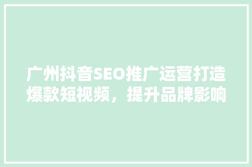 广州抖音SEO推广运营打造爆款短视频，提升品牌影响力