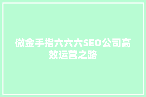 微金手指六六六SEO公司高效运营之路