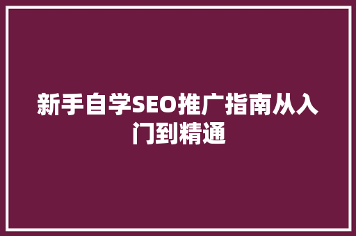 新手自学SEO推广指南从入门到精通