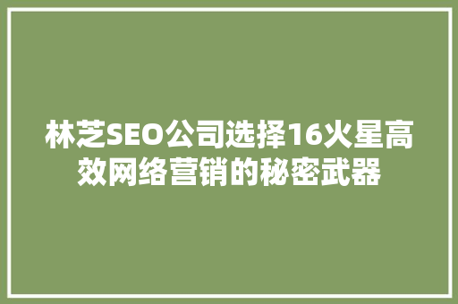 林芝SEO公司选择16火星高效网络营销的秘密武器 英文谷歌算法