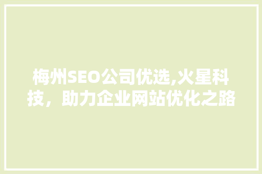 梅州SEO公司优选,火星科技，助力企业网站优化之路
