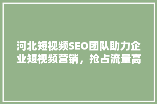 河北短视频SEO团队助力企业短视频营销，抢占流量高地 百度算法