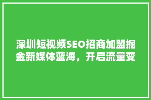 深圳短视频SEO招商加盟掘金新媒体蓝海，开启流量变现新篇章 头条优化