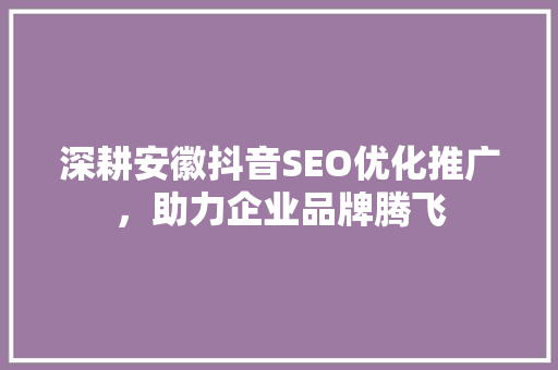 深耕安徽抖音SEO优化推广，助力企业品牌腾飞