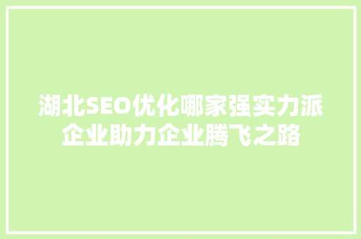 湖北SEO优化哪家强实力派企业助力企业腾飞之路