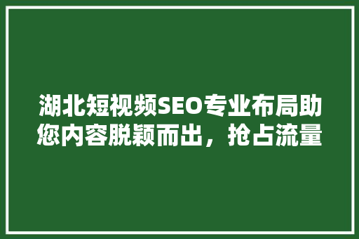 湖北短视频SEO专业布局助您内容脱颖而出，抢占流量高地