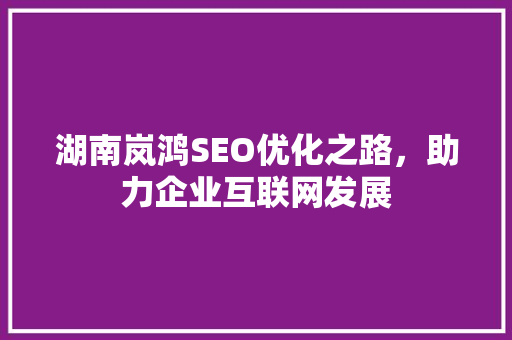 湖南岚鸿SEO优化之路，助力企业互联网发展