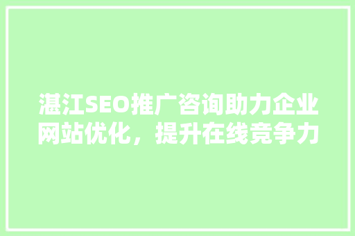 湛江SEO推广咨询助力企业网站优化，提升在线竞争力 小程序开发