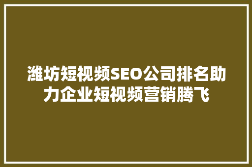 潍坊短视频SEO公司排名助力企业短视频营销腾飞