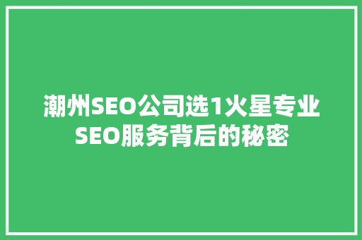潮州SEO公司选1火星专业SEO服务背后的秘密