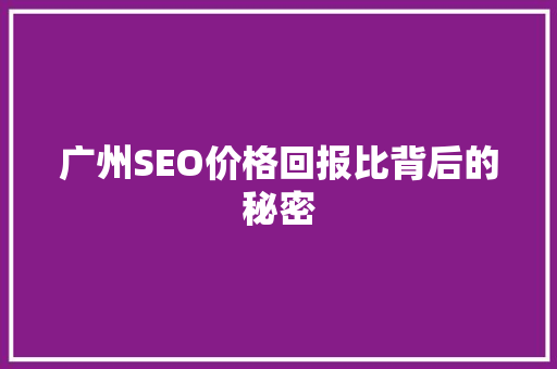 广州SEO价格回报比背后的秘密