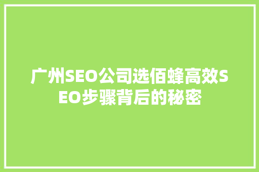 广州SEO公司选佰蜂高效SEO步骤背后的秘密